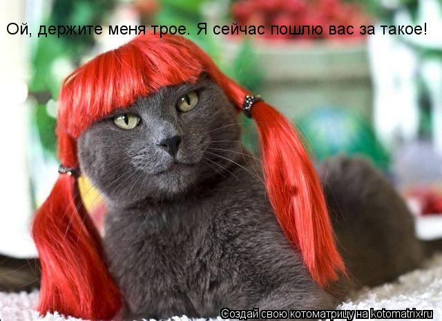 Котоматрица: Ой, держите меня трое. Я сейчас пошлю вас за такое!