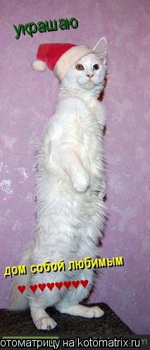 Котоматрица: украшаю  дом собой любимым &#9829; &#9829;&#9829;&#9829;&#9829;&#9829;&#9829;&#9829;                                           &#9829;