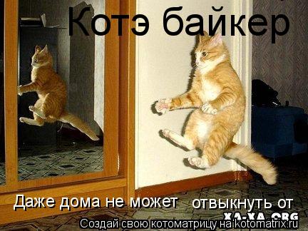 Котоматрица: Котэ байкер Даже дома не может отвыкнуть от