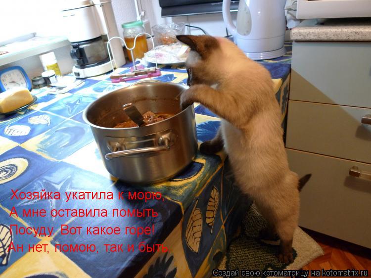 Котоматрица: Хозяйка укатила к морю, А мне оставила помыть Посуду. Вот какое горе! Ан нет, помою, так и быть.