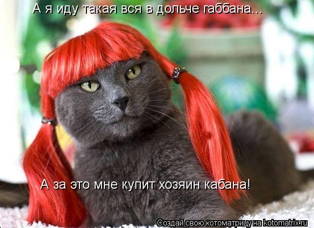 А я иду такая вся в дольче габбана... А за это мне купит хозяин кабана!... Котоматрица: А я иду такая вся в дольче габбана... А за это мне купит хозяин кабана!