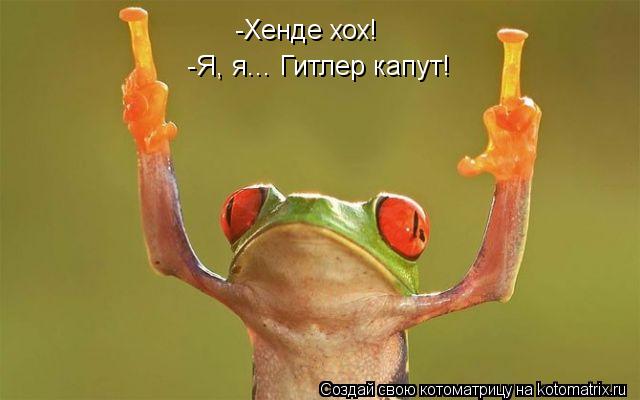Котоматрица: -Хенде хох! -Я, я... Гитлер капут!