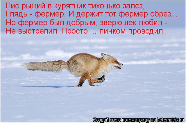 Лис рыжий в курятник тихонько залез, Глядь - фермер. И держит тот фермер обрез... Но фермер был добры... Котоматрица: Лис рыжий в курятник тихонько залез, Глядь - фермер. И держит тот фермер обрез... Но фермер был добрым, зверюшек любил - Не выстрелил. Просто ...