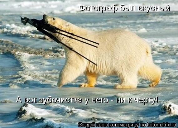 Котоматрица: Фотограф был вкусный А вот зубочистка у него - ни к черту!