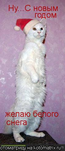 Котоматрица: Ну...С новым годом желаю белого снега