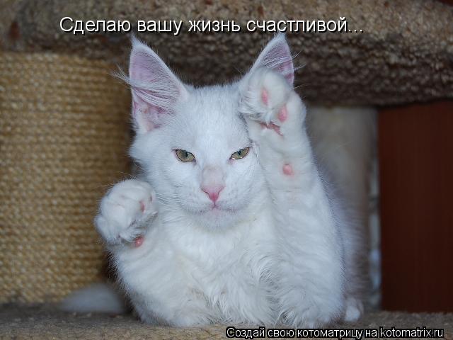 Котоматрица: Сделаю вашу жизнь счастливой...