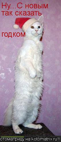 Котоматрица: Ну...С новым так сказать годком