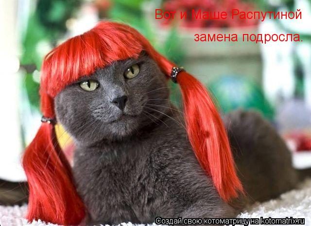 Котоматрица: Вот и Маше Распутиной замена подросла.