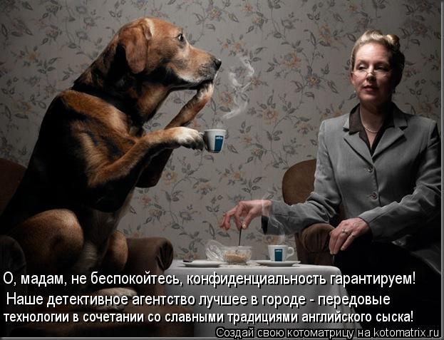 Котоматрица: О, мадам, не беспокойтесь, конфиденциальность гарантируем! Наше детективное агентство лучшее в городе - передовые  технологии в сочетании с