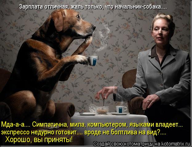 Котоматрица: Мда-а-а.... Симпатична, мила, компьютером, языками владеет... экспрессо недурно готовит.... вроде не болтлива на вид?.... Хорошо, вы приняты!  Зарпл