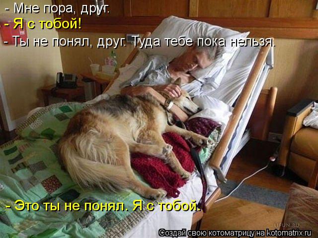 Котоматрица: - Мне пора, друг. - Я с тобой! - Ты не понял, друг. Туда тебе пока нельзя. - Это ты не понял. Я с тобой.