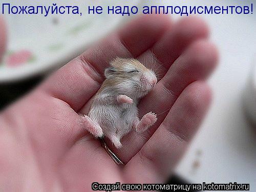 Котоматрица: Пожалуйста, не надо апплодисментов!