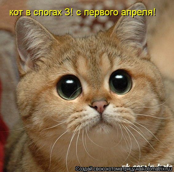 Котоматрица: кот в спогах 3! с первого апреля!
