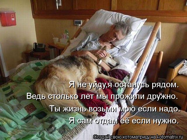 Котоматрица: Я не уйду,я останусь рядом. Ведь столько лет мы прожили дружно. Ты жизнь возьми мою если надо. Я сам отдам её если нужно.
