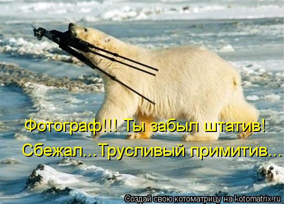 Котоматрица: Фотограф!!! Ты забыл штатив! Сбежал...Трусливый примитив...