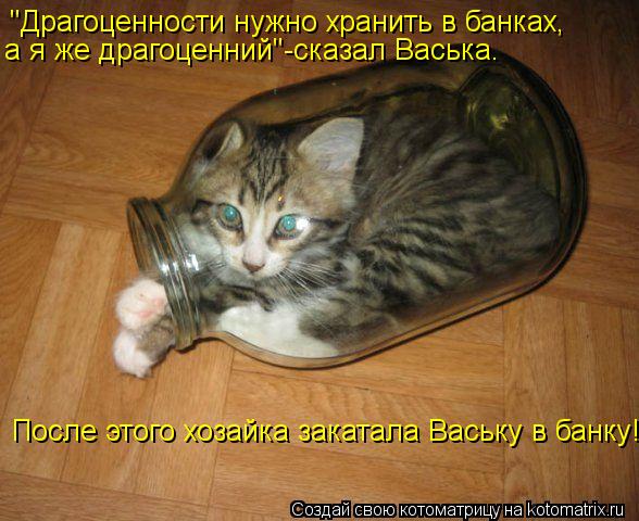Котоматрица: "Драгоценности нужно хранить в банках, а я же драгоценний"-сказал Васька. После этого хозайка закатала Ваську в банку!