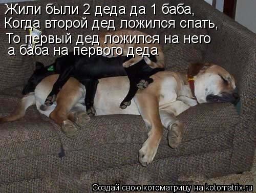 Котоматрица: Жили были 2 деда да 1 баба, Когда второй дед ложился спать, То первый дед ложился на него а баба на первого деда