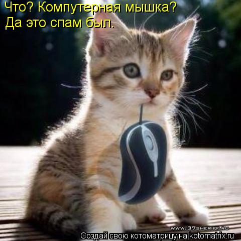 Котоматрица: Что? Компутерная мышка? Да это спам был.