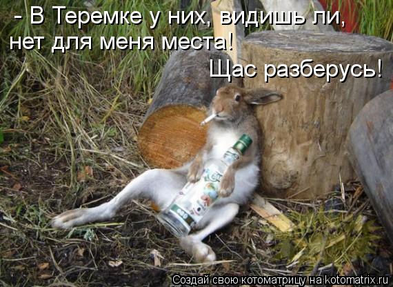 Котоматрица: - В Теремке у них, видишь ли,  нет для меня места! Щас разберусь!