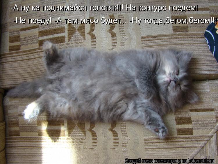 Котоматрица: -А ну ка поднимайся,толстяк!!! На конкурс поедем!   -Не поеду! -А там мясо будет... -Ну тогда,бегом,бегом!!!!