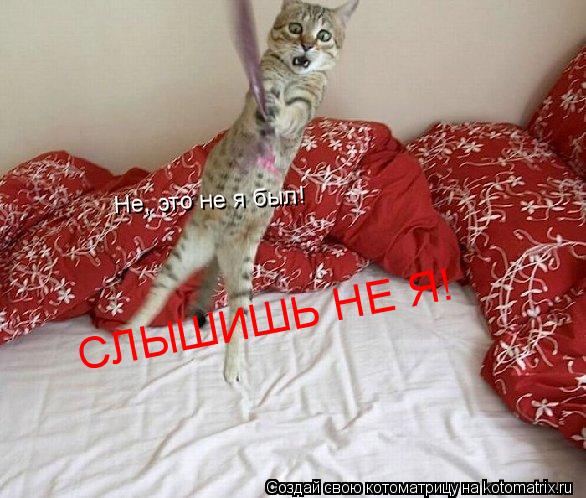 Котоматрица: Не, это не я был! СЛЫШИШЬ НЕ Я!