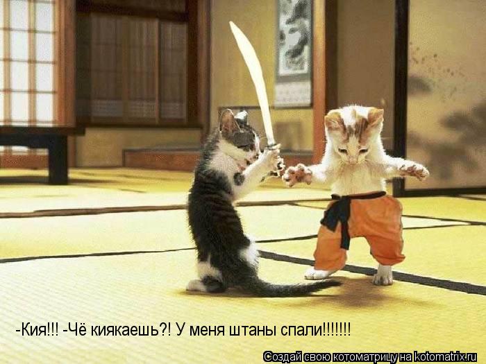 Котоматрица: -Кия!!! -Чё киякаешь?! У меня штаны спали!!!!!!!