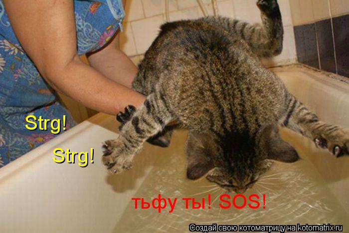 Котоматрица: Strg! Strg! тьфу ты! SOS!