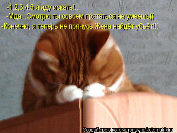 Котоматрица: -1,2,3,4,5 я иду искать!...  -Мда...Смотрю ты совсем прятаться не умеешь(( -Конечно, я теперь не прячусь.Жена найдёт убьёт!!!