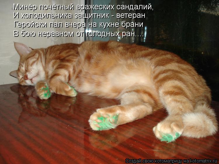 Котоматрица: Минёр почётный вражеских сандалий, И холодильника защитник - ветеран Геройски пал вчера на кухне брани В бою неравном от голодных ран....
