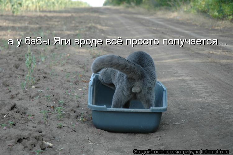 Котоматрица: а у бабы Яги вроде всё просто получается...