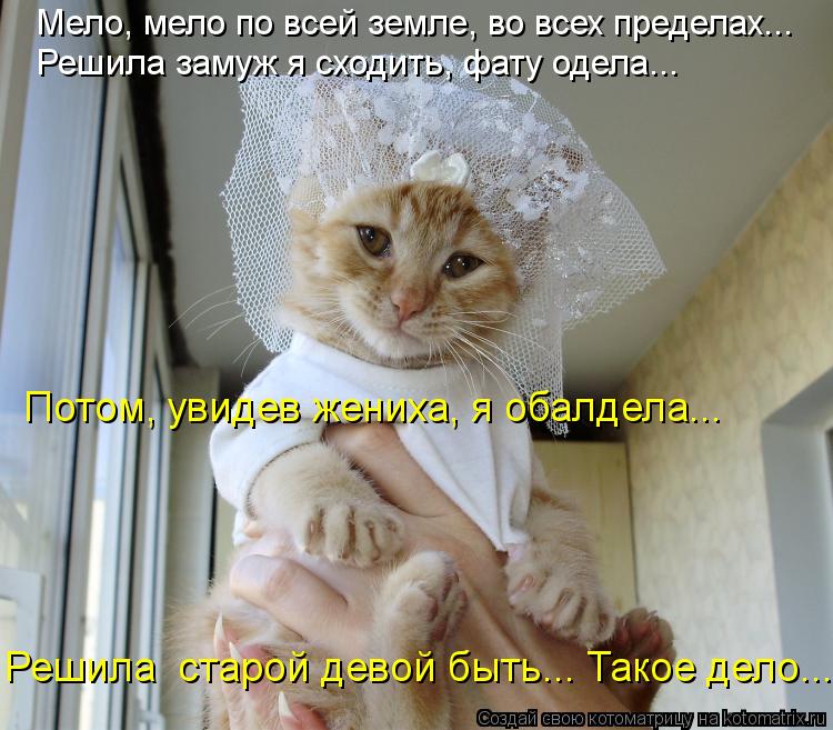Мело, мело по всей земле, во всех пределах... Решила замуж я сходить, фату одела... Потом, увидев жен... Котоматрица: Мело, мело по всей земле, во всех пределах... Решила замуж я сходить, фату одела... Потом, увидев жениха, я обалдела... Решила старой девой быть..