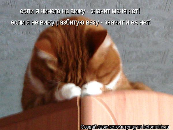 Котоматрица: если я ничего не вижу - значит меня нет! если я не вижу разбитую вазу - значит и ее нет!