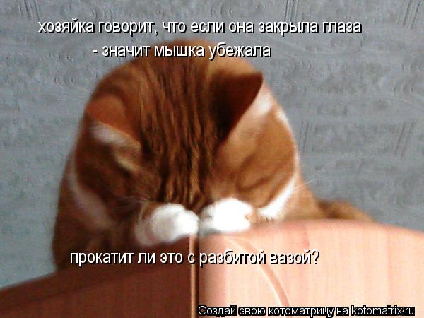 Котоматрица: хозяйка говорит, что если она закрыла глаза - значит мышка убежала хозяйка говорит, что если она закрыла глаза - значит мышка убежала прокат