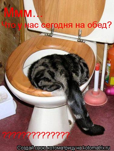 Ммм... Что у нас сегодня на обед??? Что у нас сегодня на обед? у ??????????????... Котоматрица: Ммм... Что у нас сегодня на обед??? Что у нас сегодня на обед? у ??????????????