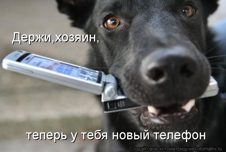 Держи,хозяин, теперь у тебя новый телефон... Котоматрица: Держи,хозяин, теперь у тебя новый телефон