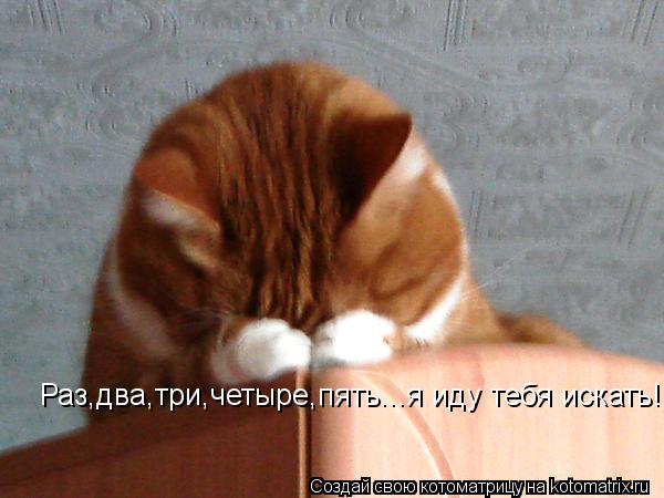 Раз,два,три,четыре,пять...я иду тебя искать!... Котоматрица: Раз,два,три,четыре,пять...я иду тебя искать!