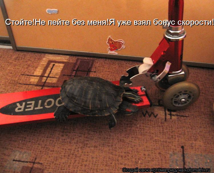 Стойте!Не пейте без меня!Я уже взял бонус скорости!... Котоматрица: Стойте!Не пейте без меня!Я уже взял бонус скорости!