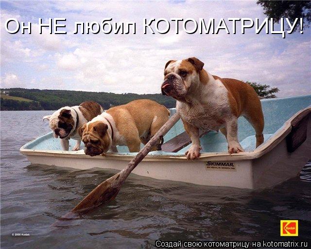 Он НЕ любил КОТОМАТРИЦУ!... Котоматрица: Он НЕ любил КОТОМАТРИЦУ!