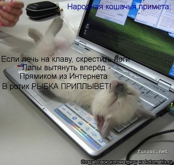 Народная кошачья примета: Если лечь на клаву, скрестить ноги Лапы вытянуть вперёд - Прямиком из Интер... Котоматрица: Народная кошачья примета: Если лечь на клаву, скрестить ноги Лапы вытянуть вперёд - Прямиком из Интернета В ротик РЫБКА ПРИПЛЫВЕТ!