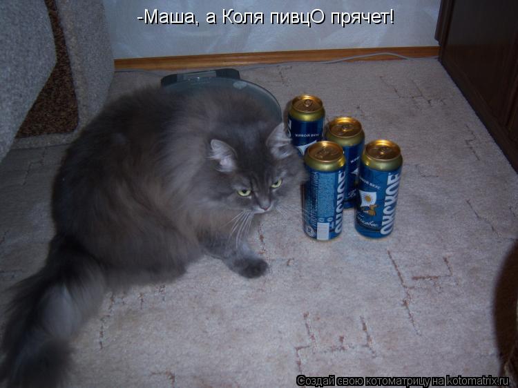 -Маша, а Коля пивцО прячет!... Котоматрица: -Маша, а Коля пивцО прячет!
