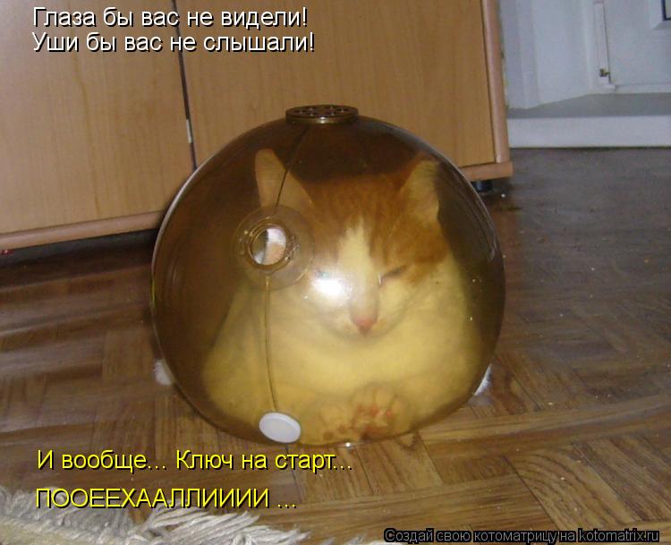 Глаза бы вас не видели! Уши бы вас не слышали! И вообще... Ключ на старт... ПООЕЕХААЛЛИИИИ ...... Котоматрица: Глаза бы вас не видели! Уши бы вас не слышали! И вообще... Ключ на старт... ПООЕЕХААЛЛИИИИ ...