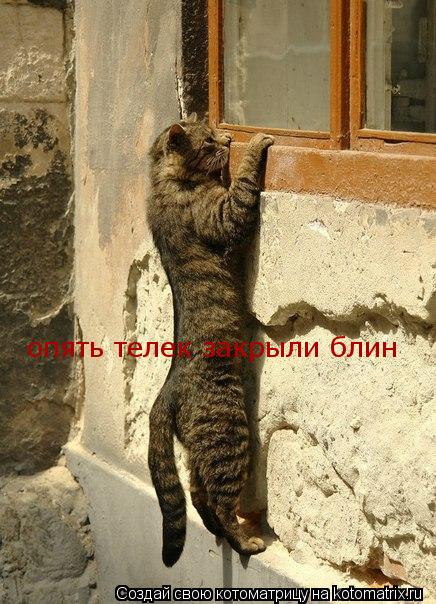 опять телек закрыли блин... Котоматрица: опять телек закрыли блин