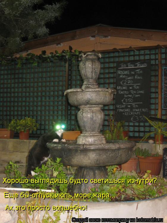 Хорошо выглядишь,будто светишься изнутри? Еще бы-отпуск,июль,море,жара... Ах,это просто волшебно!... Котоматрица: Хорошо выглядишь,будто светишься изнутри? Еще бы-отпуск,июль,море,жара... Ах,это просто волшебно!