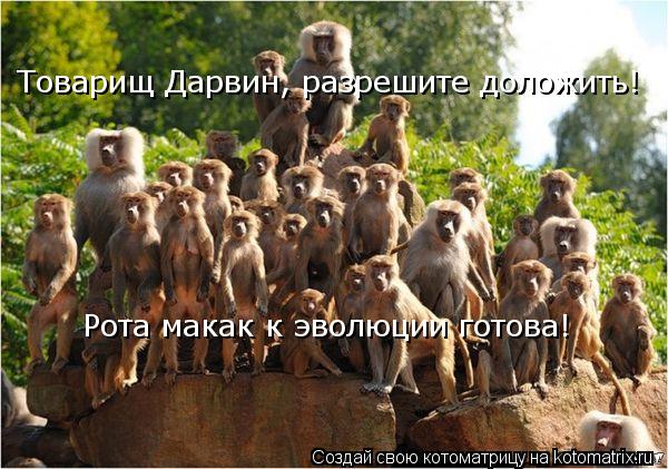 Товарищ Дарвин, разрешите доложить! Рота макак к эволюции готова!... Котоматрица: Товарищ Дарвин, разрешите доложить! Рота макак к эволюции готова!
