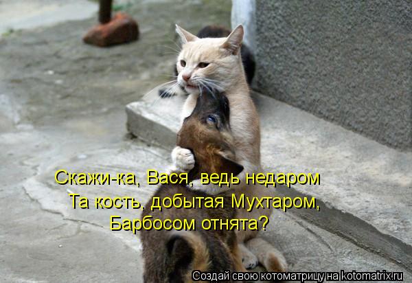 Скажи-ка, Вася, ведь недаром Та кость, добытая Мухтаром, Барбосом отнята?... Котоматрица: Скажи-ка, Вася, ведь недаром Та кость, добытая Мухтаром, Барбосом отнята?