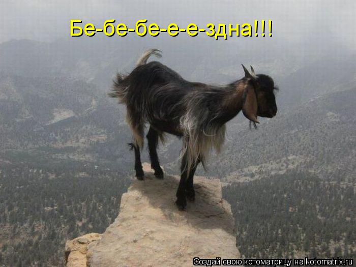 Бе-бе-бе-е-е-здна!!!... Котоматрица: Бе-бе-бе-е-е-здна!!!