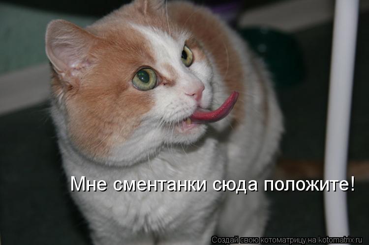 Мне сментанки сюда положите!... Котоматрица: Мне сментанки сюда положите!