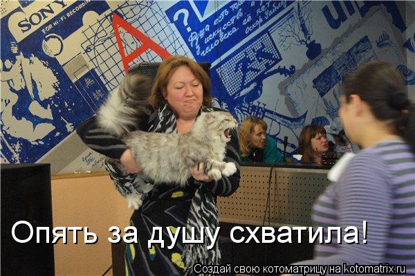 Опять за душу схватила!... Котоматрица: Опять за душу схватила!
