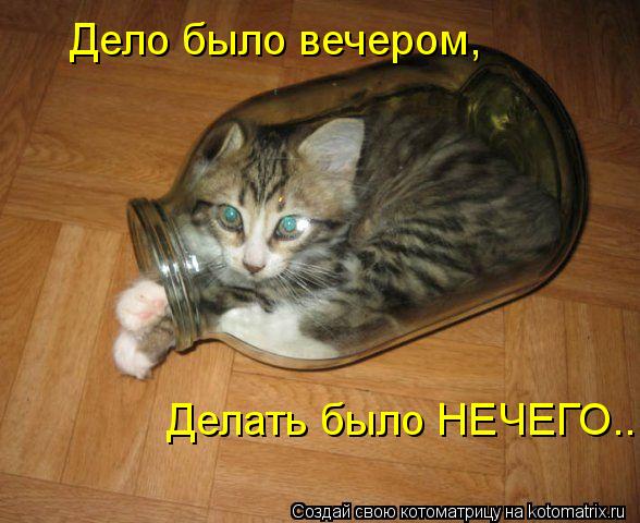 Дело было вечером, Делать было НЕЧЕГО...... Котоматрица: Дело было вечером, Делать было НЕЧЕГО...
