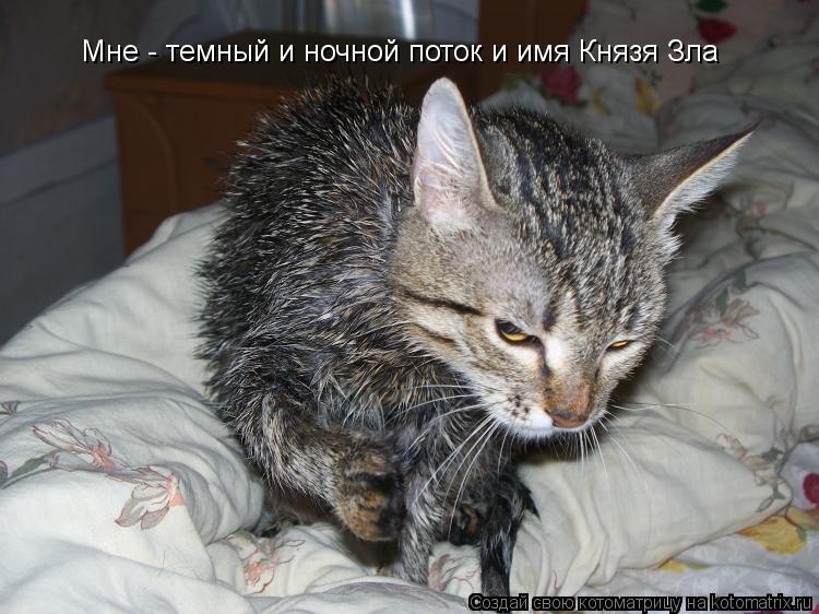 Мне - темный и ночной поток и имя Князя Зла... Котоматрица: Мне - темный и ночной поток и имя Князя Зла